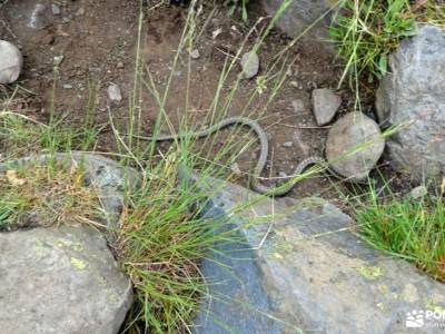 Montaña Palentina.Fuentes Carrionas; grupo senderismo madrid gratis rutas senderismo españa verano e